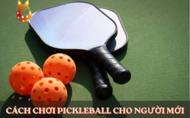 Hướng dẫn cách chơi Pickleball cho người mới từ con số 0